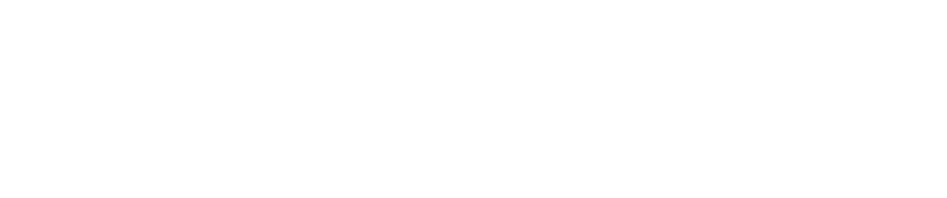 iStore Business Premium Business Partner