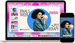 MacBook Neo, blush colour, next to iPhone, MacBook Neo screen shows presentation titled Finals Week Pet Therapy with photo of a person holding a rabbit, iPhone screen shows same photo, which has been turned into a sticker to use in presentation