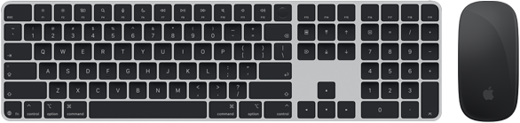 Top view of Magic Keyboard with Touch ID and Magic Mouse